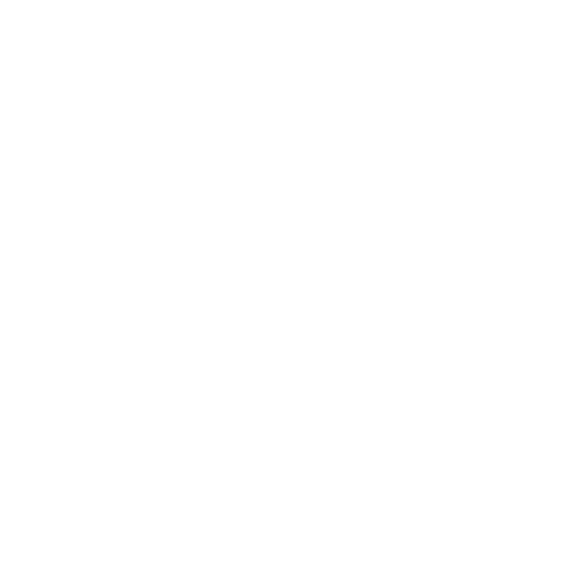 ORMIV Background Logo